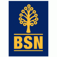 bsn Logo download