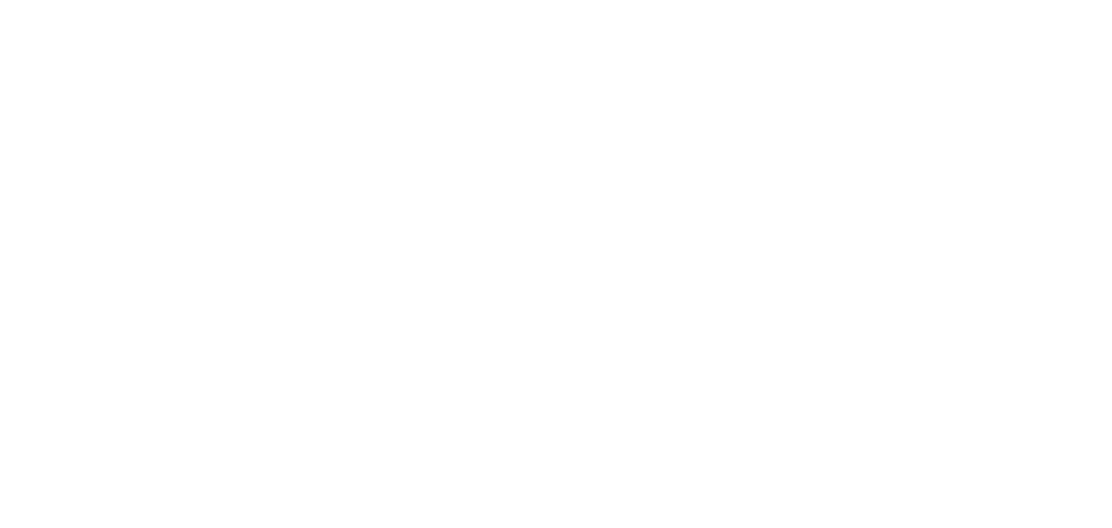 Menzis Logo download