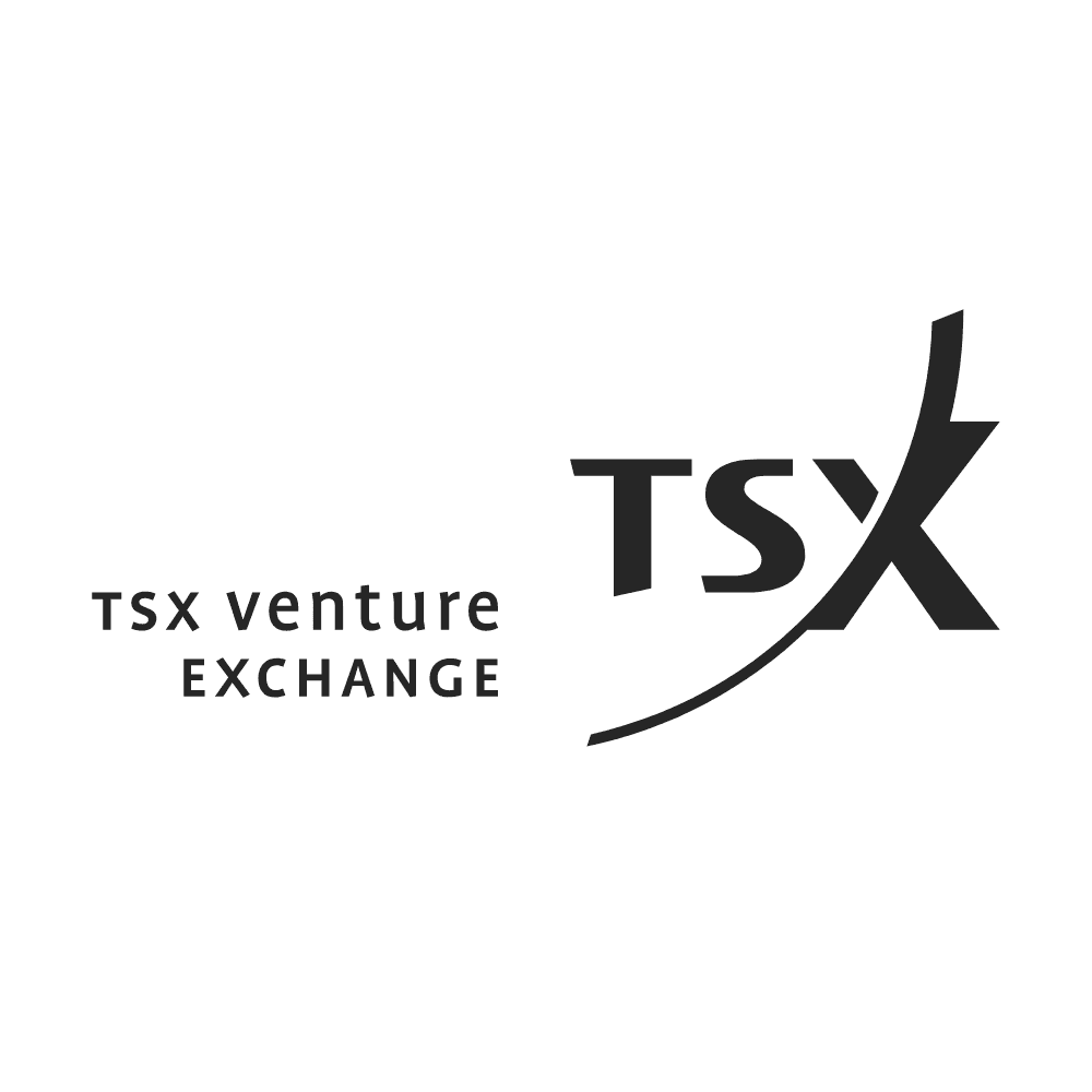 TSX Venture Exchange Logo download