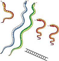 snake Logo download