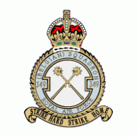349 squadron Logo download
