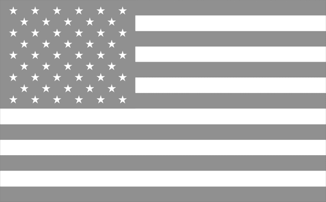 American Flag Logo download