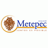 Ayuntamiento de Metepec 2003-2006 Logo download