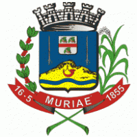 Brasão de Muriaé / MG / Brasil Logo download