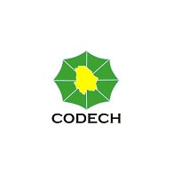 Codech Logo download
