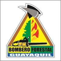 División Técnica y Ambiental Bombero Forestal Logo download