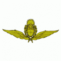 Fuerza Aerea Argentina | Argentina Air Force Logo download
