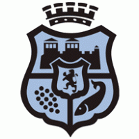 Municipality Vidin Logo download