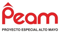PEAM Logo download