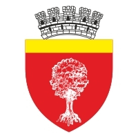 Primaria Onesti Logo download