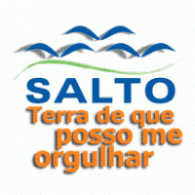 Salto Logo download