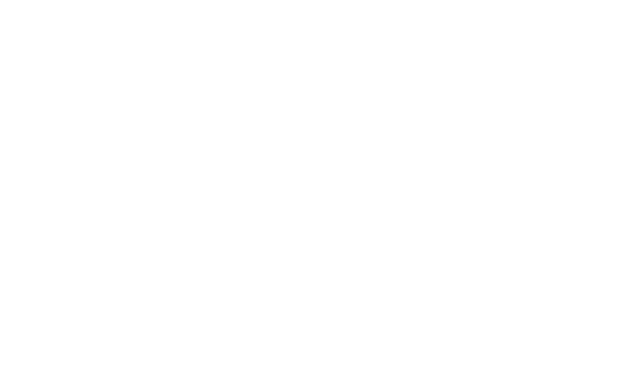 San Miguel de Allende, administracion 06-09 Logo download