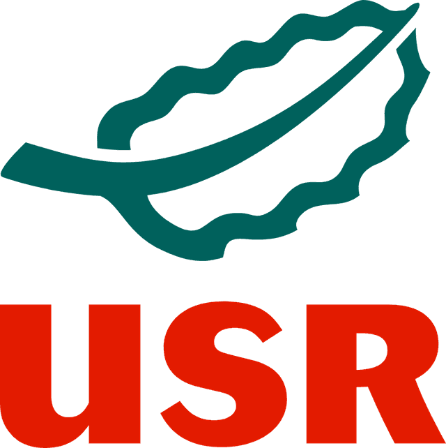 Unión por San Roque Logo download