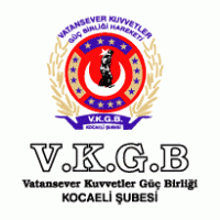 vkgb Logo download