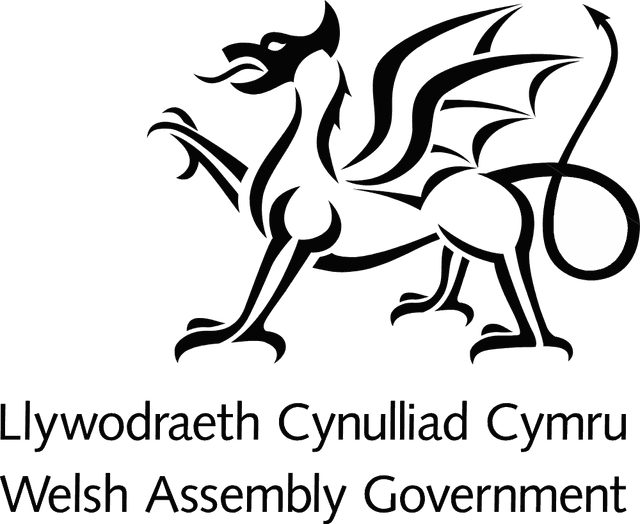 Welsh Assembly Government Logo download
