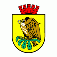 Sokolow Podlaski Logo download