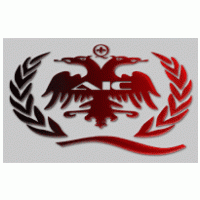 AIC GROUP ALBANIA Logo download