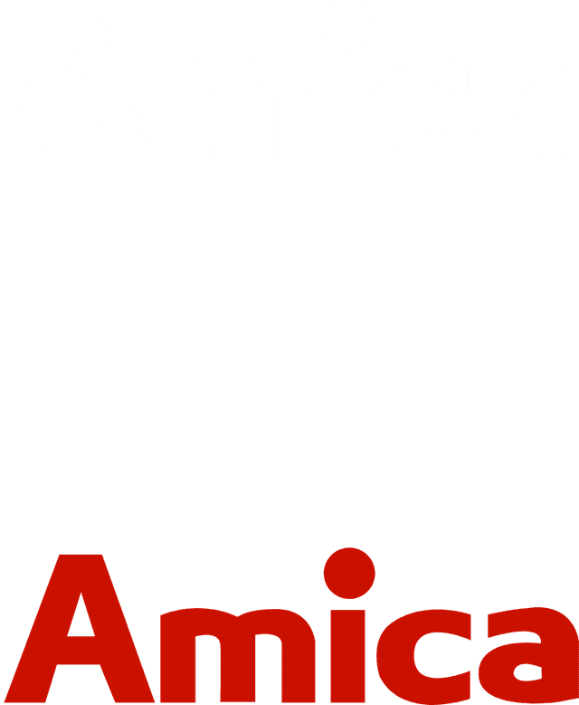 Amica International Logo download