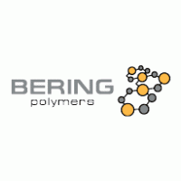 Bering Logo download