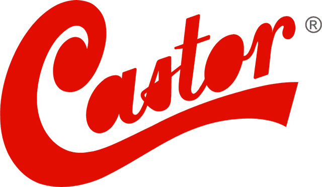 Castor Logo download