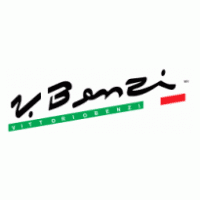 V. Benzi Logo download