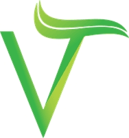 V letter Logo Template download