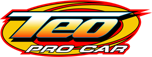 Teo Pro Car Logo download