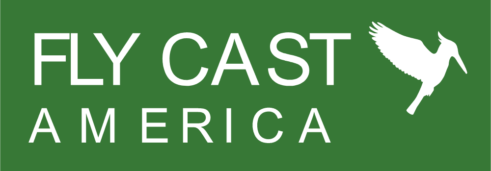 Fly Cast America Logo download