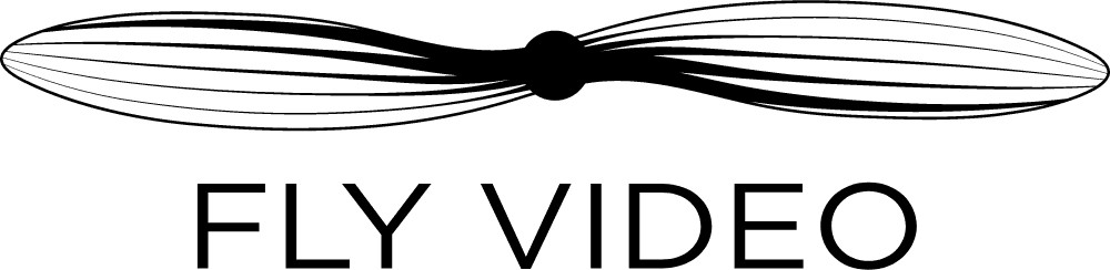 FlyVideo Logo download