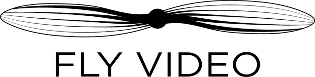 FlyVideo Logo download