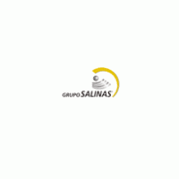 Grupo Salinas Logo download