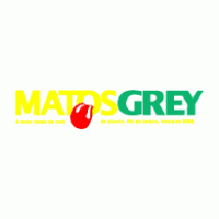 Matos Grey A Big Bang Tour Logo download