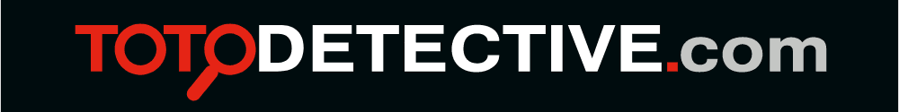 totodetective.com Logo download