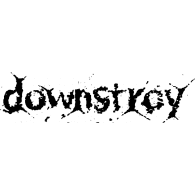 Downstroy Logo download