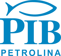 PIB - Primeira Igreja Batista de Petrolina - PE Logo download