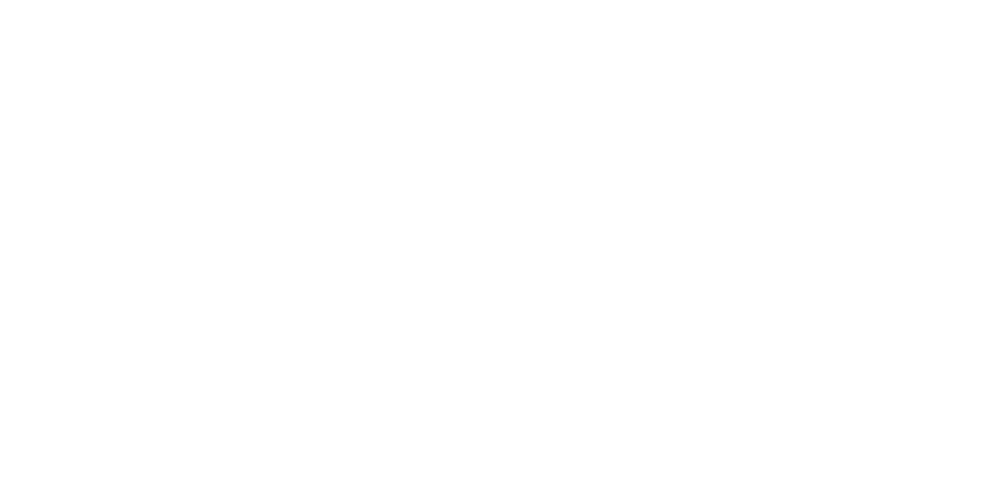 fidipidi Logo download