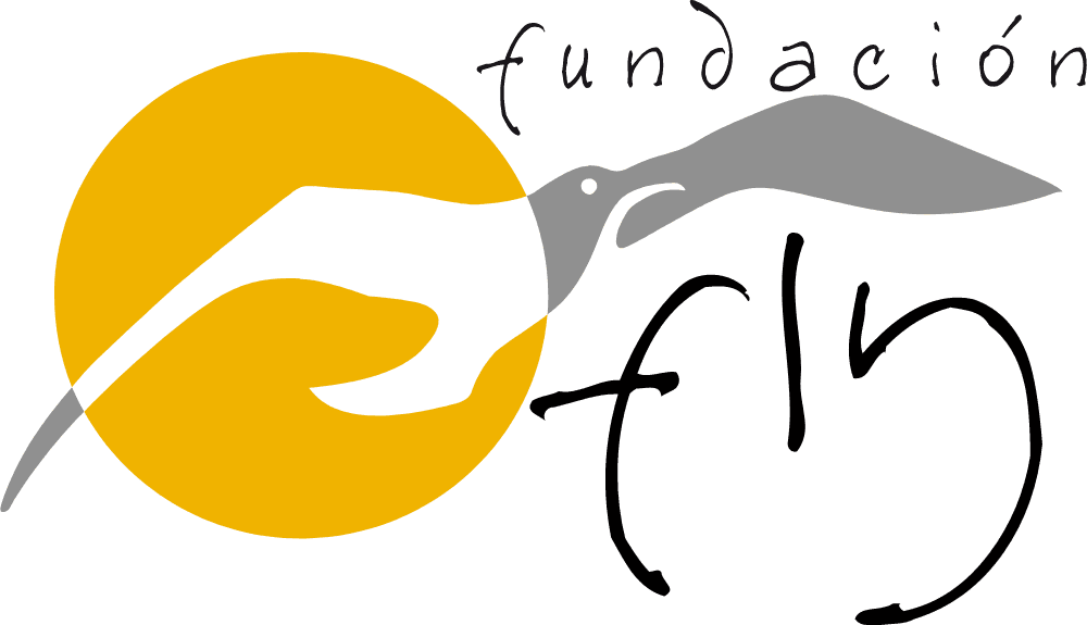 Fundacion Fly Logo download