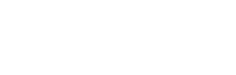 Borsodchem Logo download