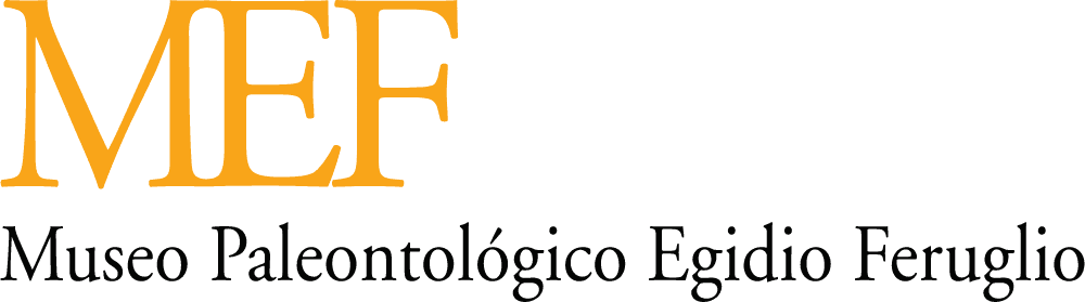 Museo Emilio Feruglio Logo download