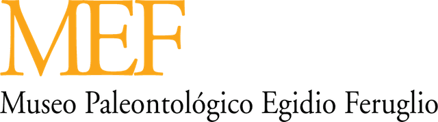 Museo Emilio Feruglio Logo download