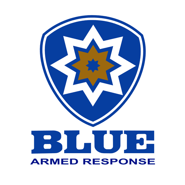 Blue Security Logo download