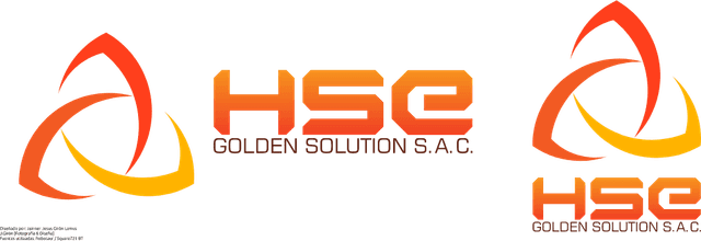 HSE Golden Solution sac Logo download