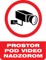 Security Cam Logo Template download