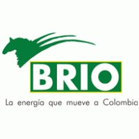 Brio Logo download