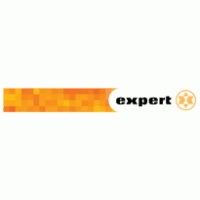 Expert Logo download