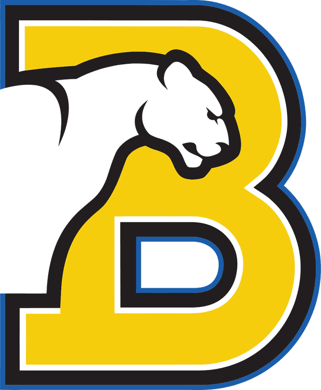 Birmingham-Southern Panthers Logo download