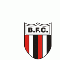 Botafogo Futebol Clube Logo download