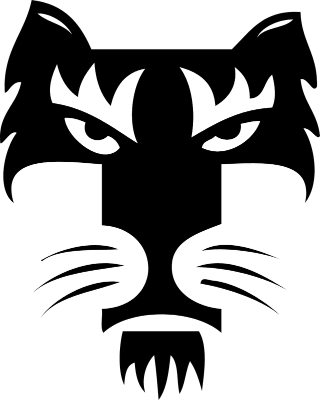 CA Tigre Logo download