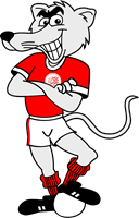 Clube Nautico Capibaribe - mascot Logo download