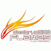 Destruction Flames Logo download